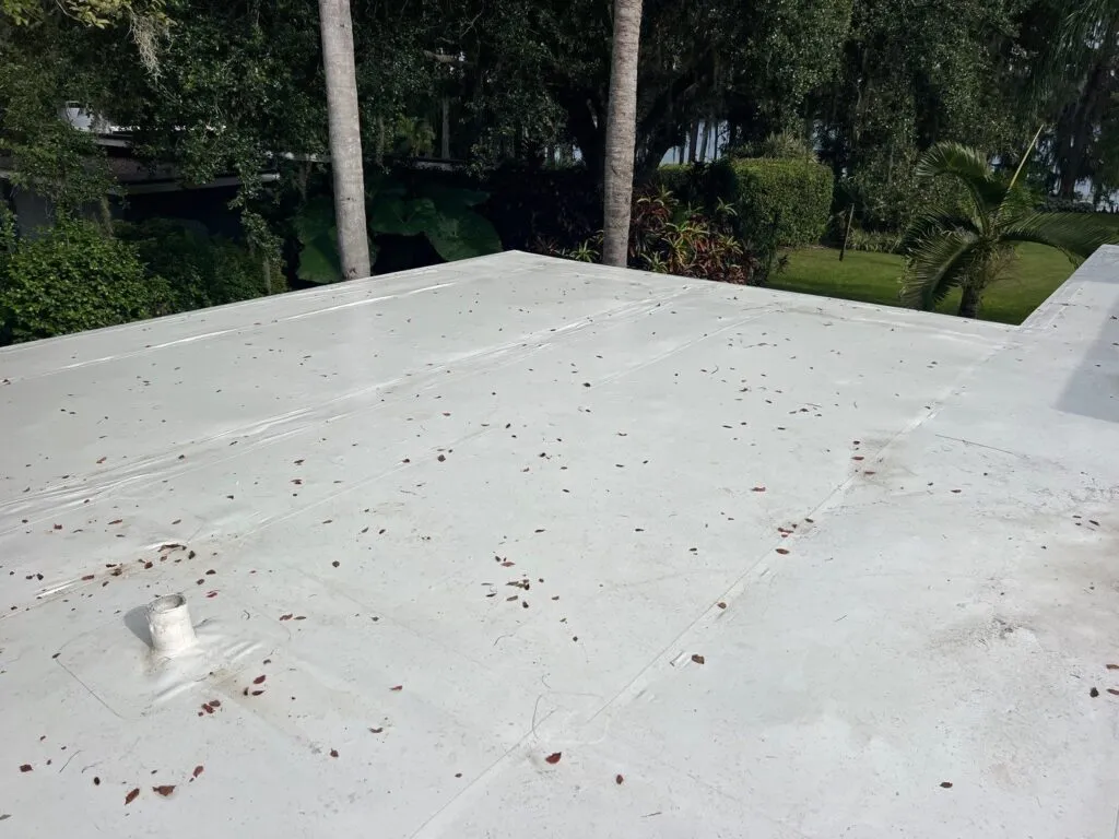 a flat roof in florida after repair with leaves on it